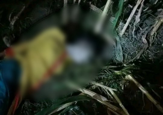 লালমনিরহাটে ভুট্টার ক্ষেত থেকে ষষ্ঠ শ্রেণির শিক্ষার্থীর লাশ উদ্ধার