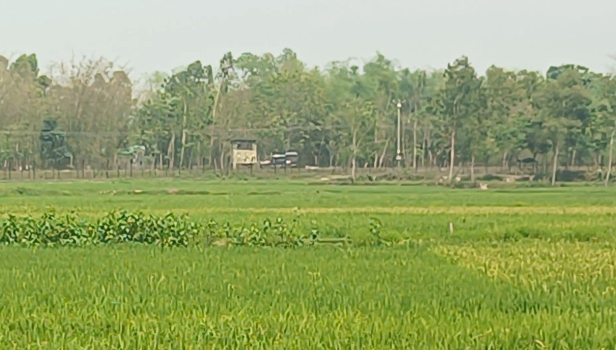 ফের লালমনিরহাট সীমান্তে এক বাংলাদেশি যুবককে ধরে নিয়ে গেছে বিএসএফ