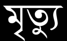 বন্ধুদের সাথে বেড়াতে এসে মেঘনা নদীতে ডুবে যুবকের মৃত্যূ