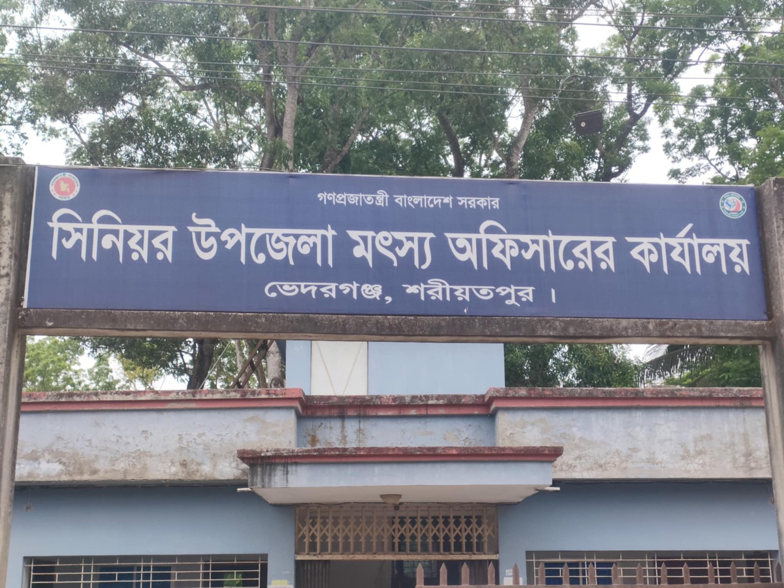 ভেদরগঞ্জে সরকারি সহায়তায় চলছে জাটকা শিকার, জড়িত মৎস্য অফিসের কর্মকর্তারা