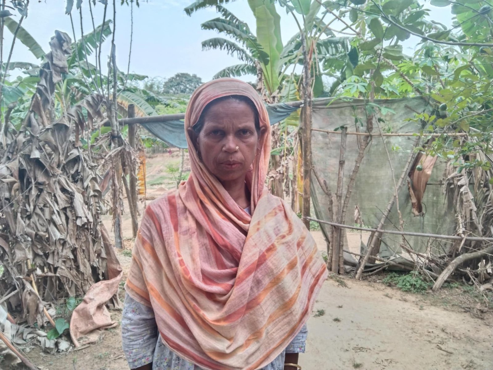ঝিনাইগাতীতে ৭ বছরেও বিধবা নারী মমেনার ভাগ্যে জুটেনি বিধবা ভাতার কার্ড
