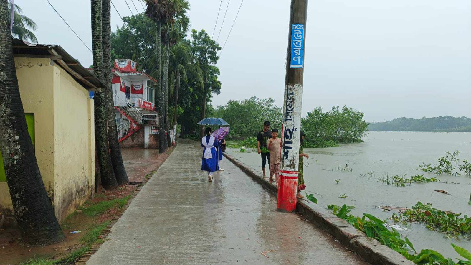 সাগরে সৃষ্ট নিম্নচাপের প্রভাবে পিরোজপুরে নিম্নাঞ্চল প্লাবিত শহরে জলাবদ্ধতা, বিপাকে জনজীবন