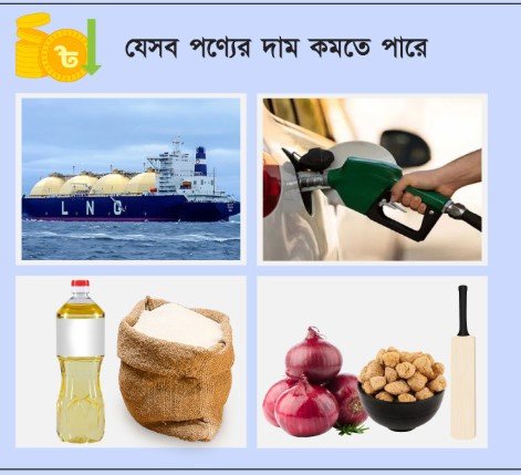 বাজেটে দাম কমার সুখবর থাকছে যেসব পণ্যে