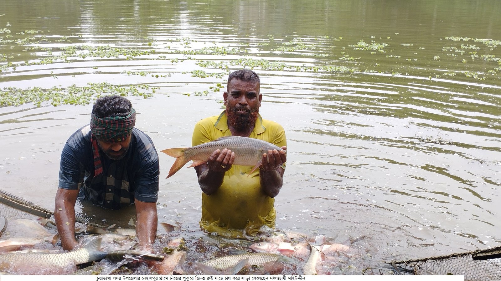 জি-৩ রুই মাছ চাষ নতুন সম্ভাবনার হাতছানি