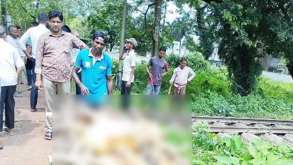 ট্রেনে কাটা পড়ে বাকৃবির ২২টি উন্নত জাতের ভেড়া নিহত