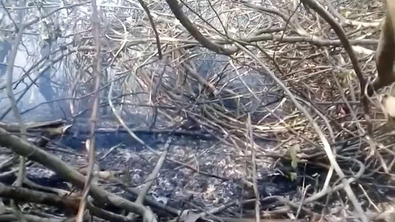 ধোঁয়া দেখলেই ছেটানো হবে পানি - বনবিভাগ