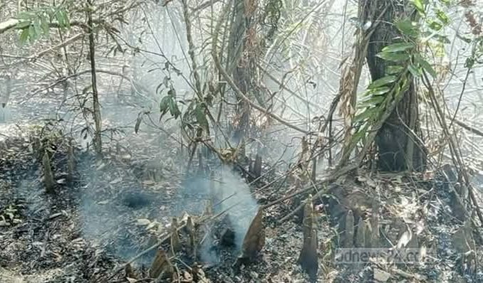 সুন্দরবনের দুই এলাকায় আগুনে ,সাড়ে ৫ একর বনভূমি ক্ষতিগ্রস্থ