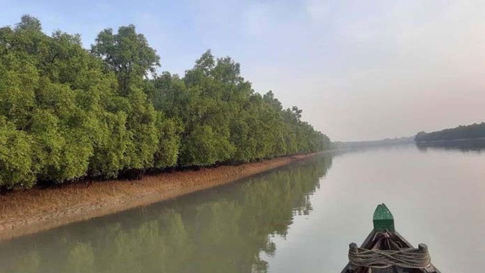 সুন্দরবনে অপহৃত ৬ নারী জেলেসহ ৩৩ জনকে উদ্ধার