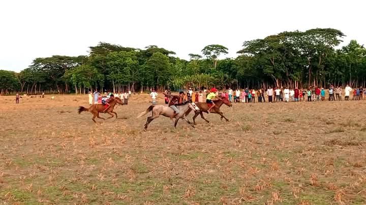 পুরাতন বছরকে বিদায় নতুন বছরকে বরণে গ্রামীণ ঐতিহ্যবাহী ঘোড় দৌড় অনুষ্ঠিত