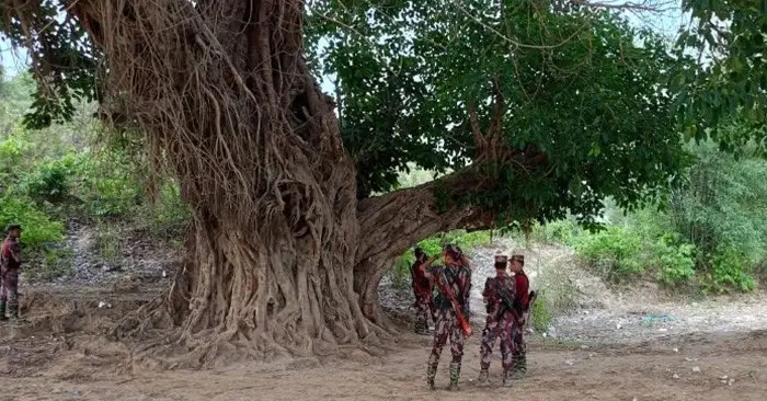 নেত্রকোণা সীমান্তে উত্তেজনা: বিএসএফকে প্রতিহত করলো বিজিবি