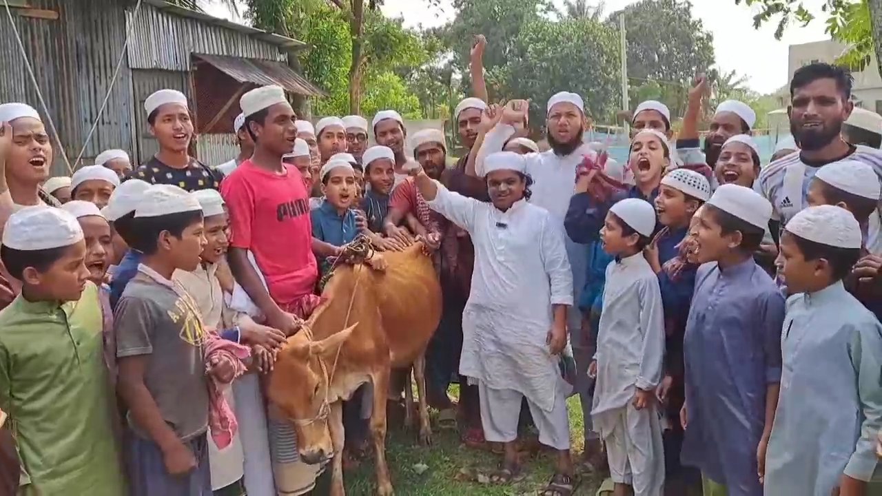 আওয়ামী লীগ নিষিদ্ধের খবরে গরু জবাই, বিরিয়ানি খাওয়ালেন রফিকুল ইসলাম মাদানী