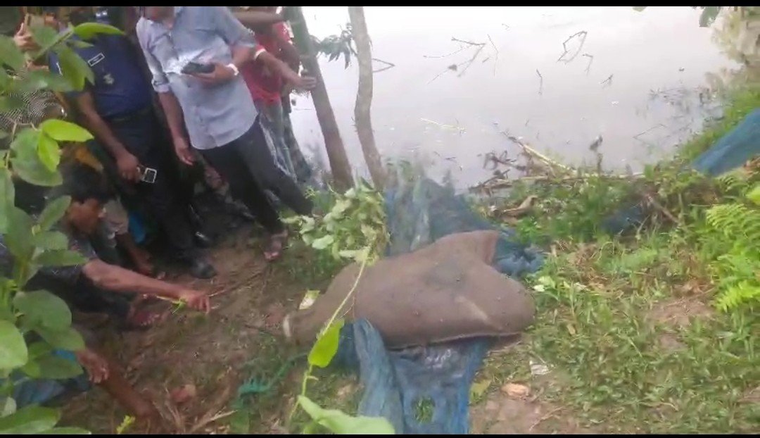 কোম্পানীগঞ্জে বস্তাবন্দি কুকুরের লাশ উদ্ধারে তোলপাড়