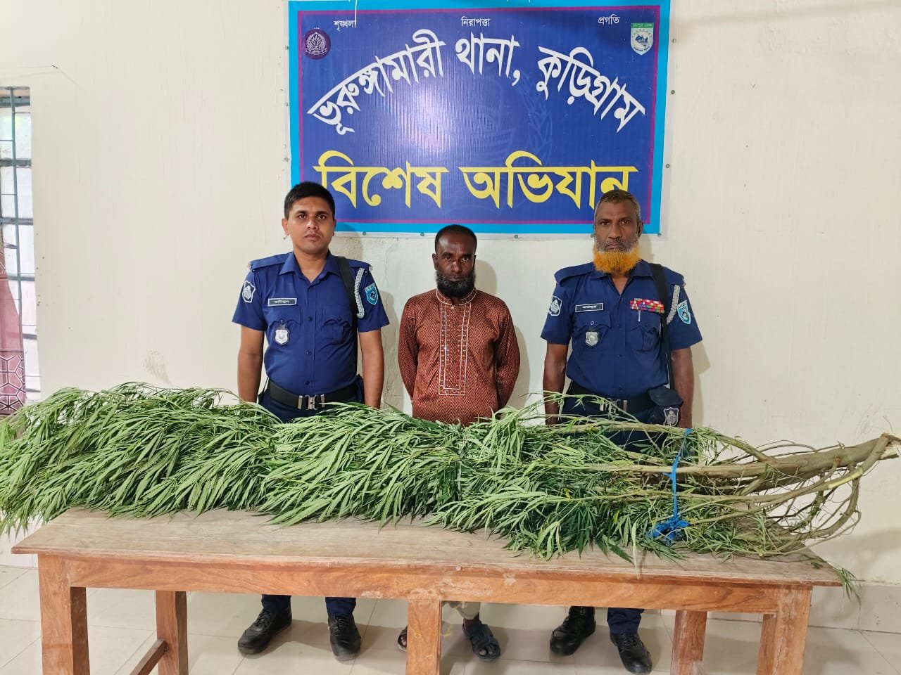 গাঁজার গাছসহ এক ব্যক্তি আটক