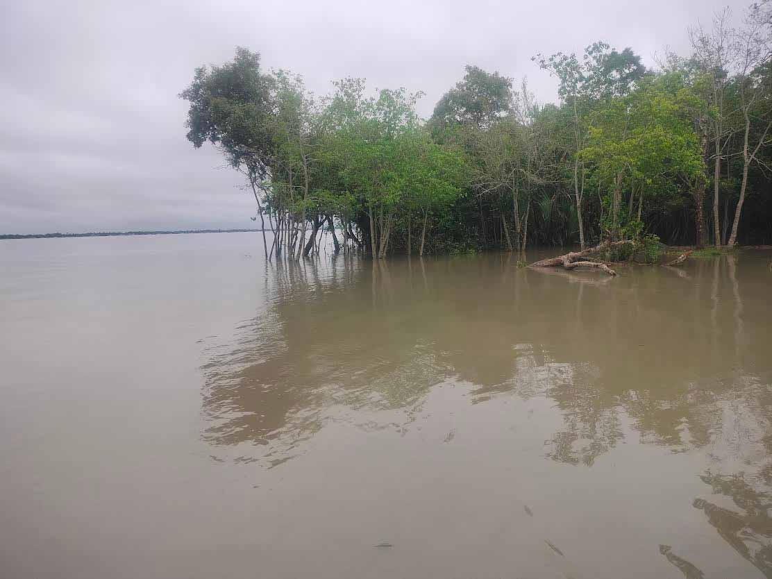 বাগেরহাটে নিম্নচাপে প্রভাবে নদ-নদীর পানি বৃদ্ধি
