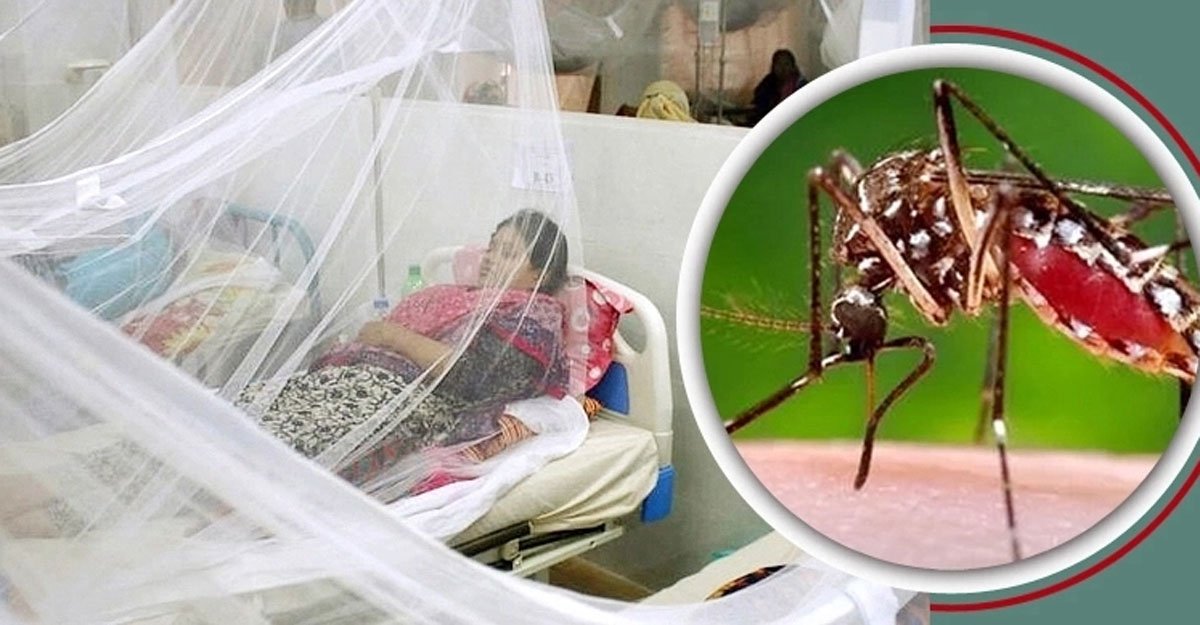 ডেঙ্গুতে একদিনে সর্বোচ্চ ৪২৯ জন ভর্তি, বরিশালে সর্বোচ্চ আক্রান্ত