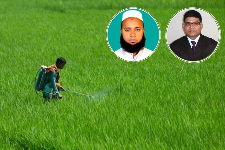 কৃষিতে অতিরিক্ত বালাইনাশকের বিষ ছড়াচ্ছে পরিবেশ ও খাদ্যচক্রে, গবেষকদের পরামর্শ