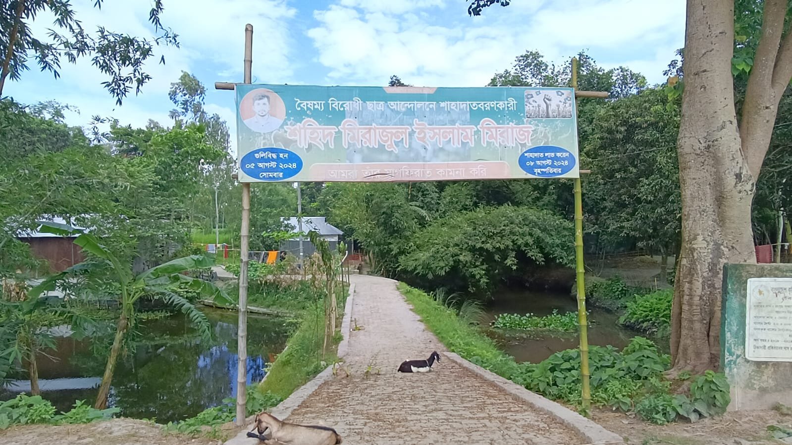 বাড়ি করতে বেদখল জমি উদ্ধার করে চান শহীদ মিরাজের মা