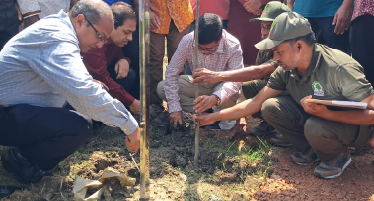 জুলাই-আগস্টের শহীদদের স্মরণে বাগেরহাটে বৃক্ষরোপণ কর্মসূচি
