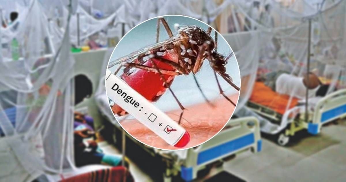 ডেঙ্গুতে এক দিনে নতুন করে ৩৩১ জন আক্রান্ত, ৩ জনের মৃত্যু