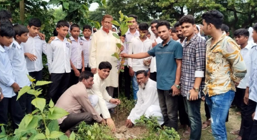 হরিণাকুন্ডুতে পরিবেশের ভারসাম্য রক্ষায় গাছের চারা রোপন ও বিতরণ