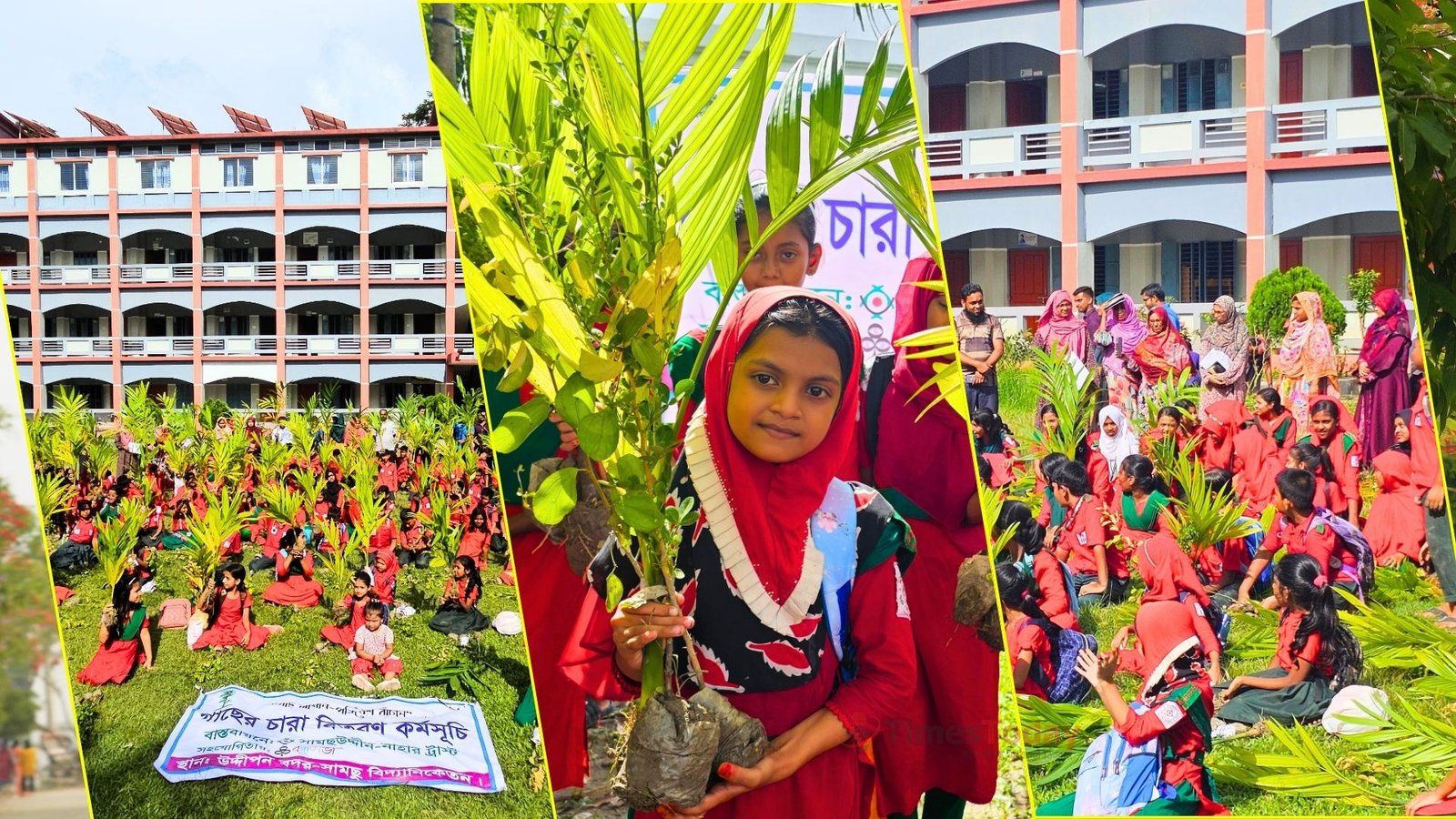 বাগেরহাট আঠারোশো চারা পেলেন শিক্ষার্থীরা!