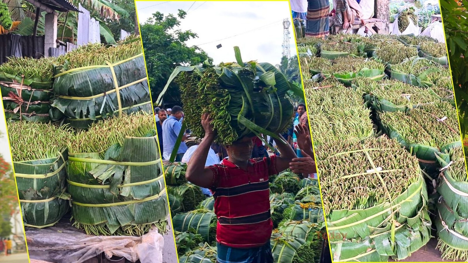 “১৩৭ বছরের হাট, কিন্তু চাষিরা এখনও ন্যায্য দাম পাচ্ছেন না”