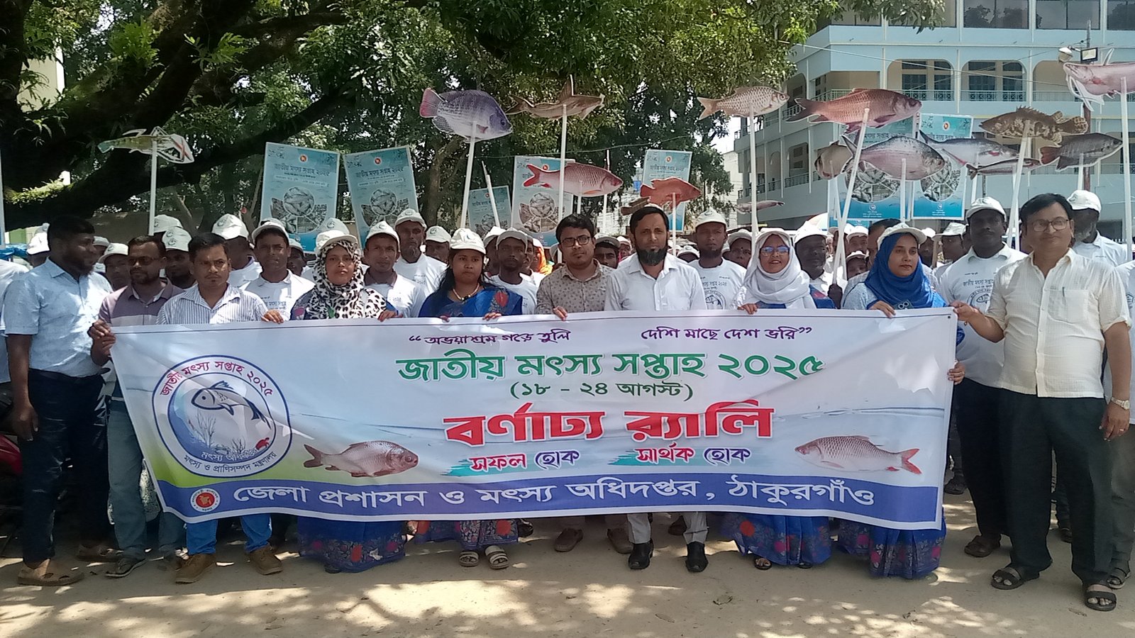 ঠাকুরগাঁওয়ে নানা আয়োজনে'র মধ্যে দিয়ে জতীয় মৎস উৎসব ২০২৫ পালিত